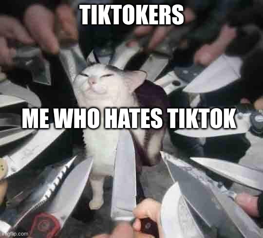 tiktok moment | TIKTOKERS; ME WHO HATES TIKTOK | image tagged in knife cat | made w/ Imgflip meme maker