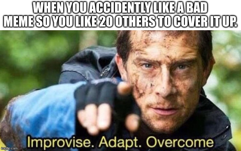 When you like a bad meme | WHEN YOU ACCIDENTLY LIKE A BAD MEME SO YOU LIKE 20 OTHERS TO COVER IT UP. | image tagged in improvise adapt overcome | made w/ Imgflip meme maker
