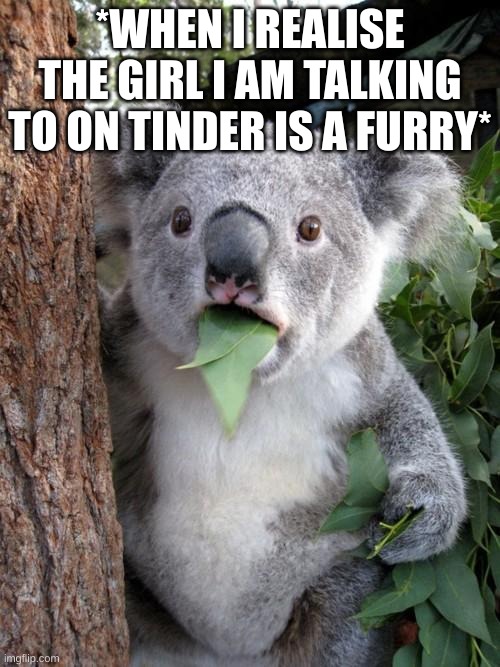 Surprised Koala | *WHEN I REALISE THE GIRL I AM TALKING TO ON TINDER IS A FURRY* | image tagged in memes,surprised koala | made w/ Imgflip meme maker