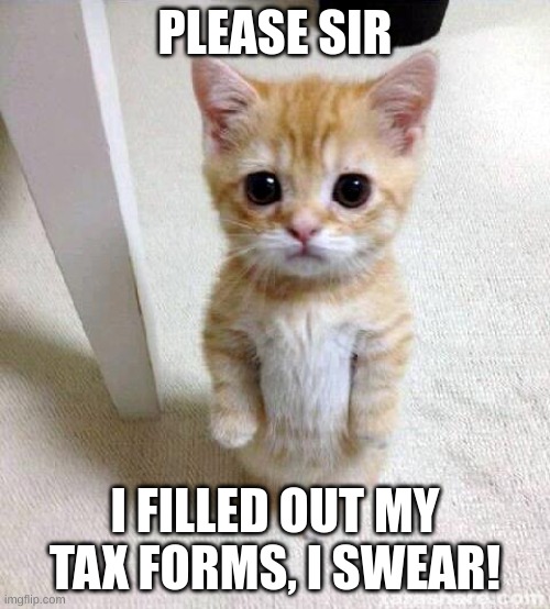 master tax evader | PLEASE SIR; I FILLED OUT MY TAX FORMS, I SWEAR! | image tagged in memes,cute cat | made w/ Imgflip meme maker