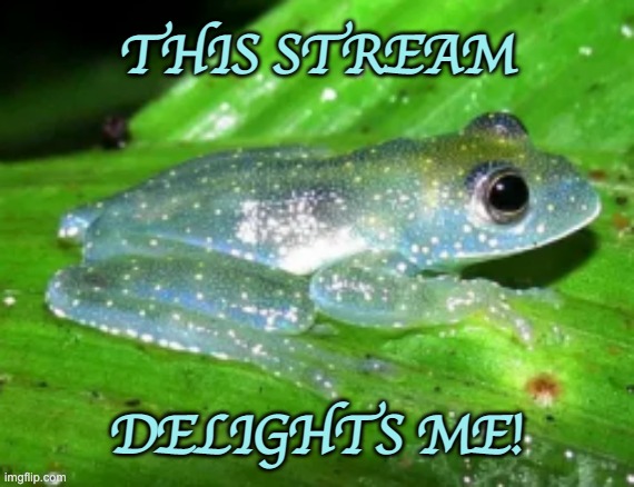 Hoppy Frog thoughts | THIS STREAM; DELIGHTS ME! | image tagged in sparkle frog,delight,joy,frogs,amphibia,cute | made w/ Imgflip meme maker