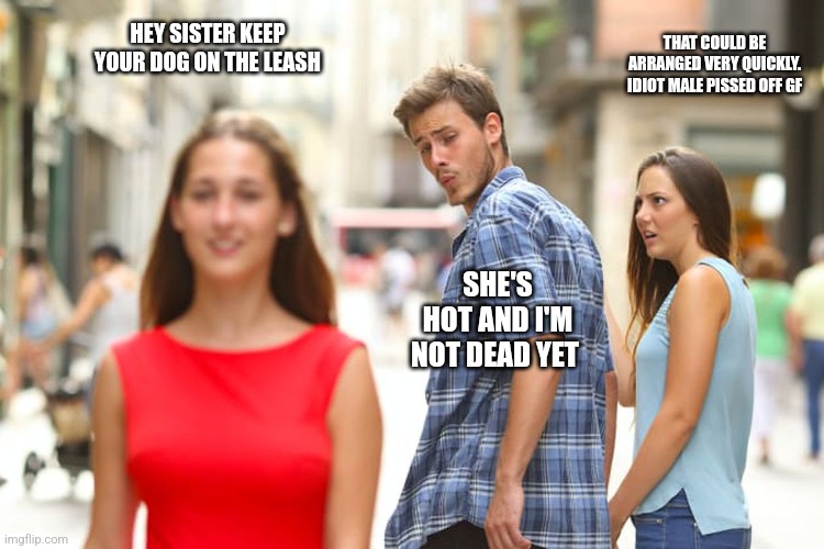 What the hell I have to look | HEY SISTER KEEP YOUR DOG ON THE LEASH; THAT COULD BE ARRANGED VERY QUICKLY. IDIOT MALE PISSED OFF GF; SHE'S HOT AND I'M NOT DEAD YET | image tagged in memes,distracted boyfriend | made w/ Imgflip meme maker