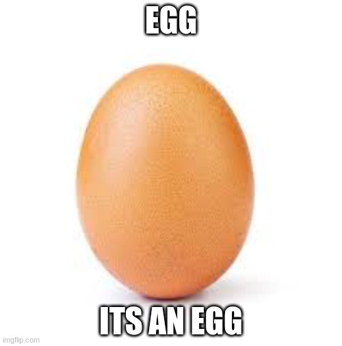 Its just an egg | EGG; ITS AN EGG | made w/ Imgflip meme maker