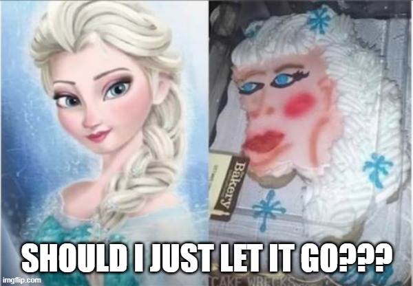 I'm Frozen | SHOULD I JUST LET IT GO??? | image tagged in you had one job | made w/ Imgflip meme maker