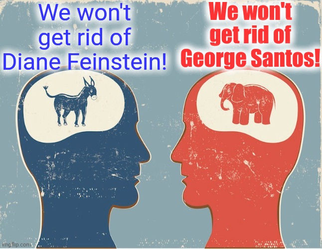 Bipartisanship. | We won't get rid of Diane Feinstein! We won't get rid of George Santos! | image tagged in republicans vs democrats,they are the same picture,spot the difference | made w/ Imgflip meme maker