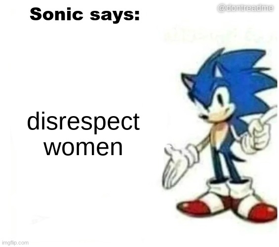 LQ idw sonic says 2 | @dontreadme; disrespect women | image tagged in lq idw sonic says 2 | made w/ Imgflip meme maker