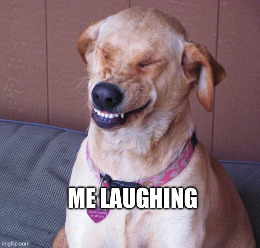 laughing dog | ME LAUGHING | image tagged in laughing dog | made w/ Imgflip meme maker