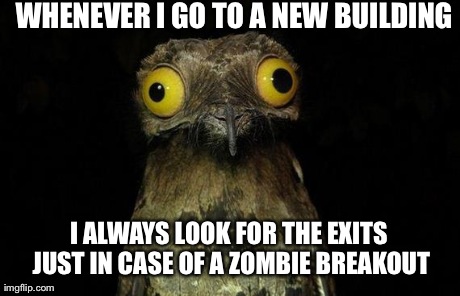 Weird Stuff I Do Potoo Meme | WHENEVER I GO TO A NEW BUILDING  I ALWAYS LOOK FOR THE EXITS JUST IN CASE OF A ZOMBIE BREAKOUT | image tagged in memes,weird stuff i do potoo,AdviceAnimals | made w/ Imgflip meme maker