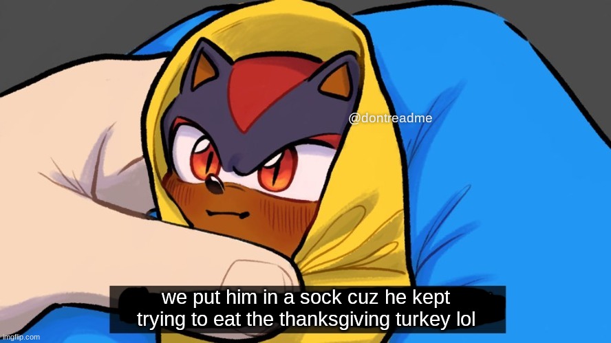 making shitty memes out of shadow images on my computer 1 | @dontreadme; we put him in a sock cuz he kept trying to eat the thanksgiving turkey lol | made w/ Imgflip meme maker
