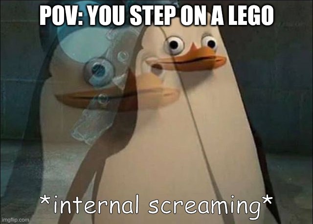 Private Internal Screaming | POV: YOU STEP ON A LEGO | image tagged in private internal screaming | made w/ Imgflip meme maker