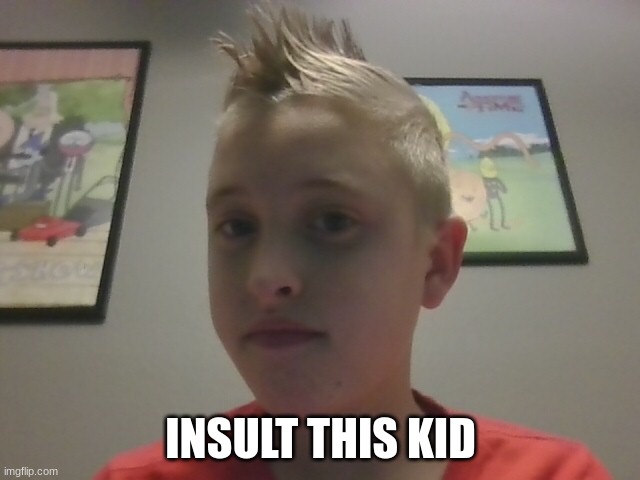 mohawk kid | INSULT THIS KID | image tagged in mohawk kid | made w/ Imgflip meme maker