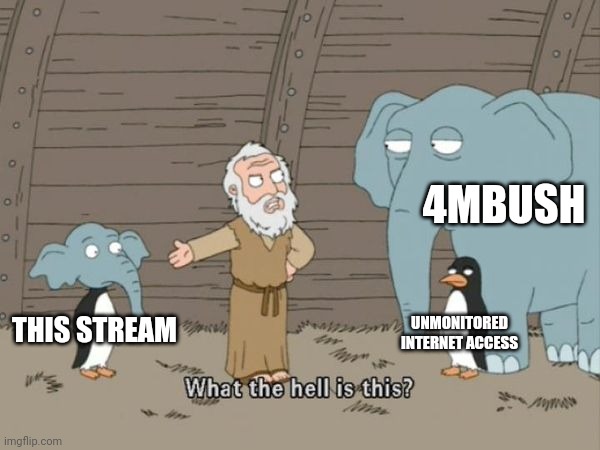 + Big W for Ambush | 4MBUSH; UNMONITORED INTERNET ACCESS; THIS STREAM | image tagged in what the hell is this | made w/ Imgflip meme maker