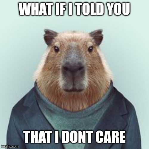 What if I told you... | WHAT IF I TOLD YOU; THAT I DONT CARE | image tagged in what if i told you capybara | made w/ Imgflip meme maker