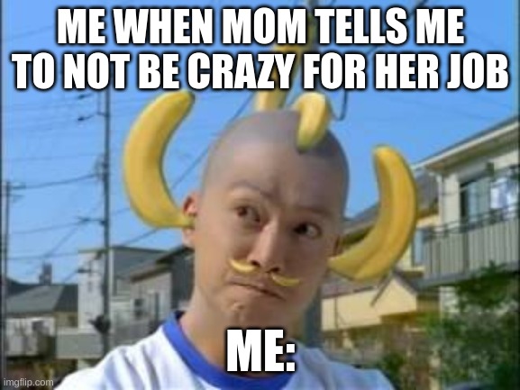 ME WHEN MOM TELLS ME TO NOT BE CRAZY FOR HER JOB; ME: | made w/ Imgflip meme maker