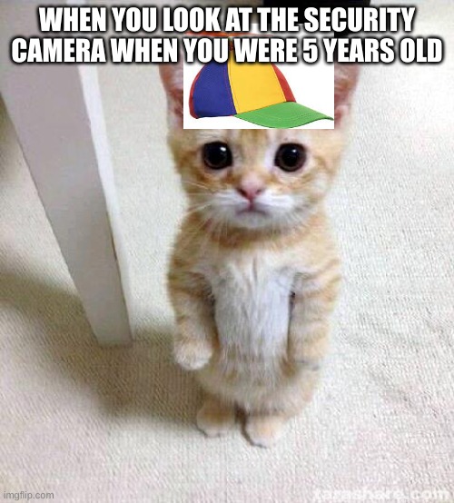 Cute Cat Meme | WHEN YOU LOOK AT THE SECURITY CAMERA WHEN YOU WERE 5 YEARS OLD | image tagged in memes,cute cat | made w/ Imgflip meme maker
