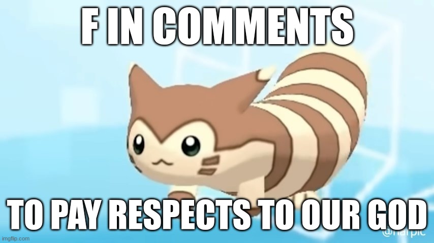 Furret Walcc | F IN COMMENTS; TO PAY RESPECTS TO OUR GOD | image tagged in furret walcc,furret,oh wow are you actually reading these tags,why are you reading the tags,stop reading the tags,pie charts | made w/ Imgflip meme maker