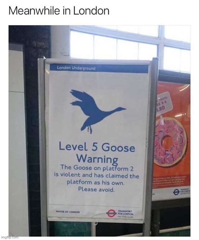 Only in London LMAO | image tagged in memes,funny | made w/ Imgflip meme maker