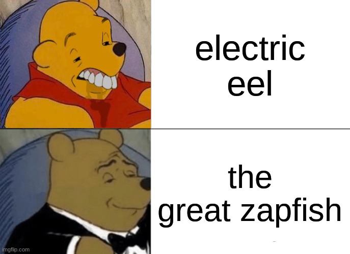 First splatoon meme :D | electric eel; the great zapfish | image tagged in memes,tuxedo winnie the pooh | made w/ Imgflip meme maker