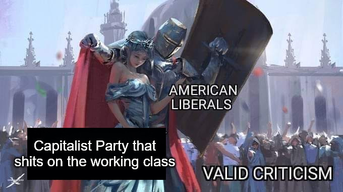 Capitalist Party that shits on the working class | image tagged in democrats,capitalism,liberals | made w/ Imgflip meme maker