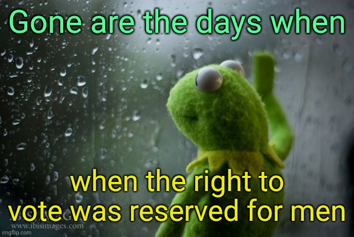 . | Gone are the days when; when the right to vote was reserved for men | image tagged in kermit window | made w/ Imgflip meme maker