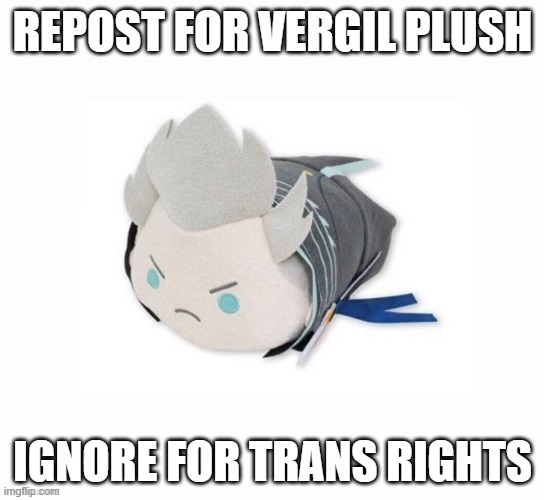 vergil plush | REPOST FOR VERGIL PLUSH; IGNORE FOR TRANS RIGHTS | image tagged in vergil plush | made w/ Imgflip meme maker
