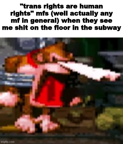 YOWZAS | "trans rights are human rights" mfs (well actually any mf in general) when they see me shit on the floor in the subway | image tagged in yowzas | made w/ Imgflip meme maker