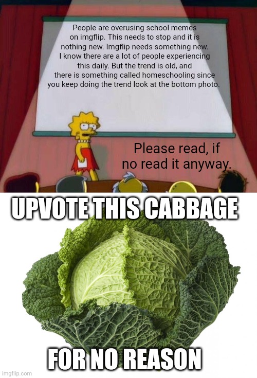 Upvote for the speech not cabbage (not trying to begg) | People are overusing school memes on imgflip. This needs to stop and it is nothing new. Imgflip needs something new. I know there are a lot of people experiencing this daily. But the trend is old, and there is something called homeschooling since you keep doing the trend look at the bottom photo. Please read, if no read it anyway. UPVOTE THIS CABBAGE; FOR NO REASON | image tagged in lisa simpson's presentation | made w/ Imgflip meme maker