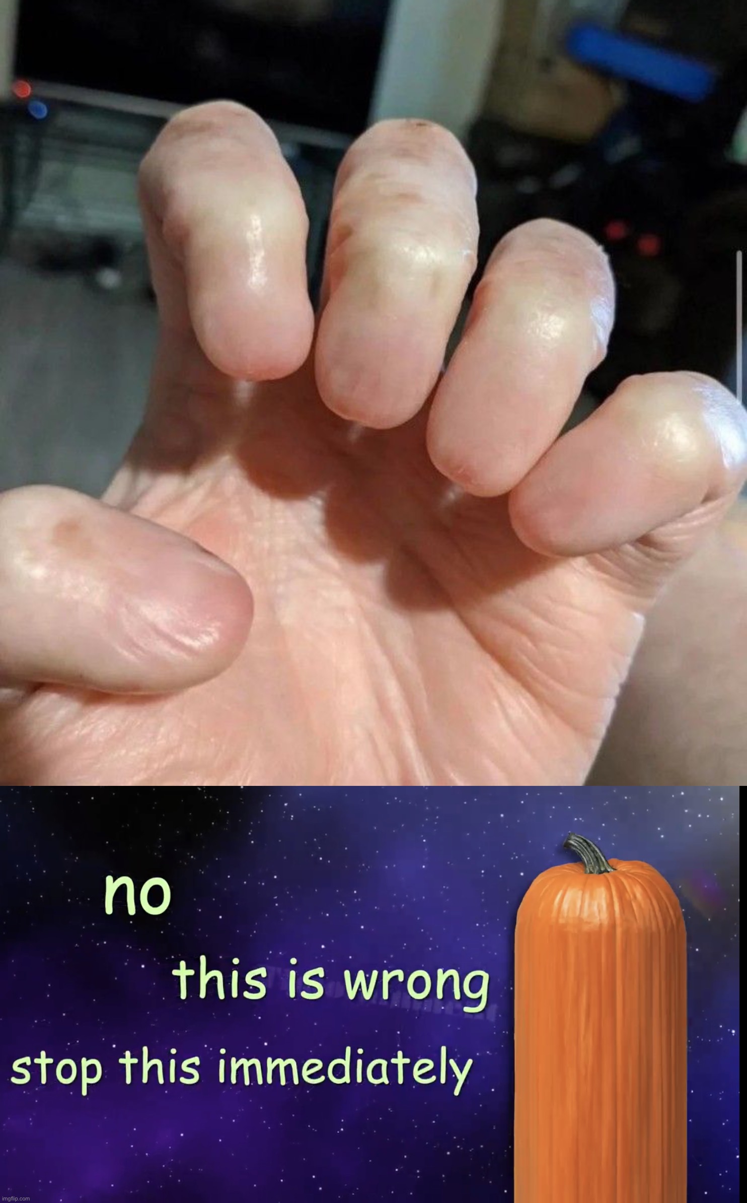 This makes me want to die  | image tagged in pumpkin facts,memes,funny,cursed image | made w/ Imgflip meme maker