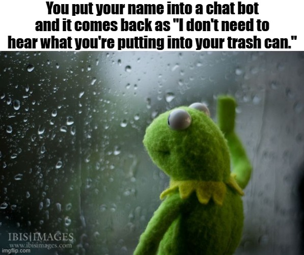kermit window | You put your name into a chat bot and it comes back as "I don't need to hear what you're putting into your trash can." | image tagged in kermit window | made w/ Imgflip meme maker