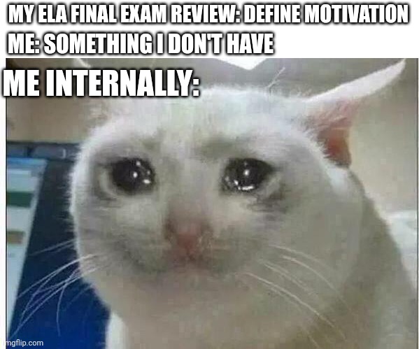 Ever just... Not have ANY motivation | MY ELA FINAL EXAM REVIEW: DEFINE MOTIVATION; ME: SOMETHING I DON'T HAVE; ME INTERNALLY: | image tagged in crying cat | made w/ Imgflip meme maker