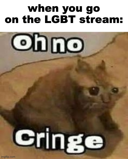 its all "repost but add who you simp for" posts | when you go on the LGBT stream: | image tagged in oh no cringe | made w/ Imgflip meme maker