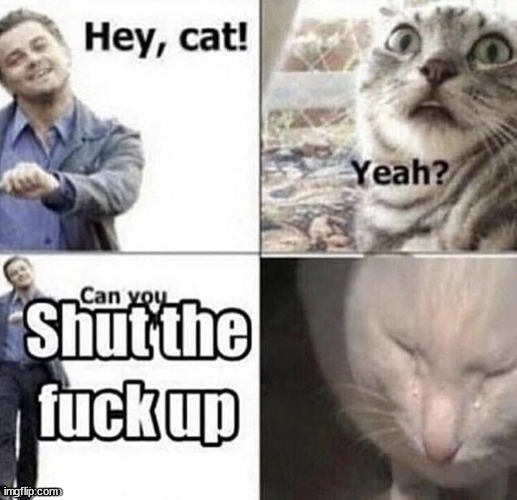 made w/ Imgflip meme maker