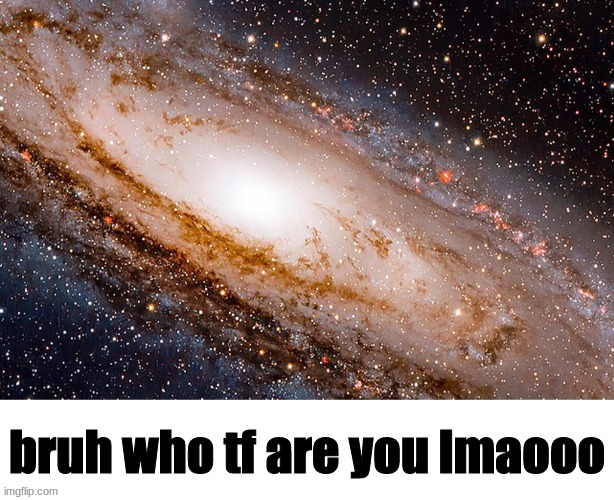 who tf are you lmaooo | image tagged in who tf are you lmaooo | made w/ Imgflip meme maker