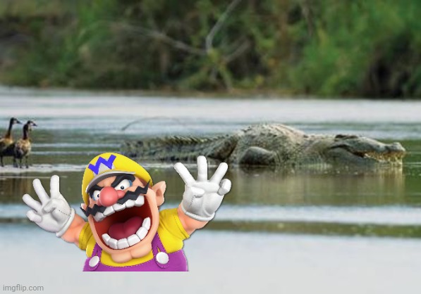 Wario dies in the Nile River by Gustave.mp3 | image tagged in wario dies,wario,crocodile,reptile,animals | made w/ Imgflip meme maker