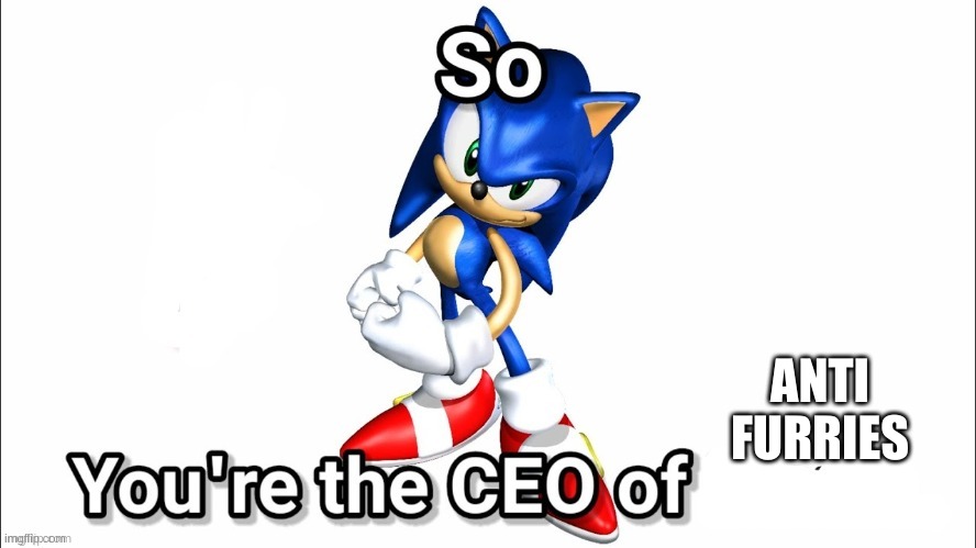 so you're the CEO of | ANTI FURRIES | image tagged in so you're the ceo of | made w/ Imgflip meme maker