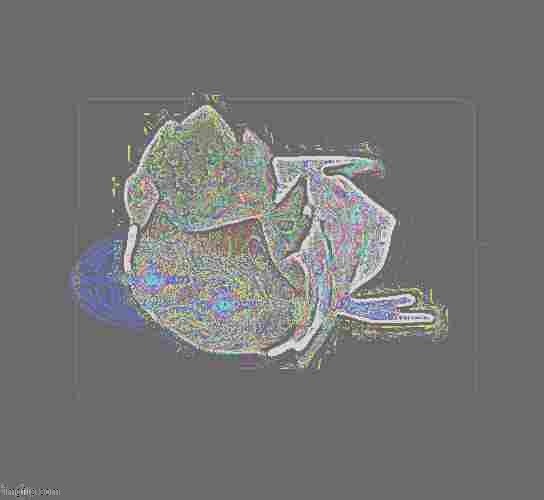 enraged vergil | made w/ Imgflip meme maker