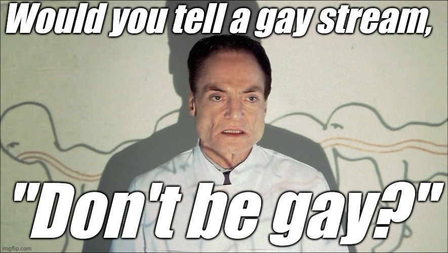 Would you tell a gay stream, "Don't be gay?" | image tagged in 'liberal' centipede | made w/ Imgflip meme maker