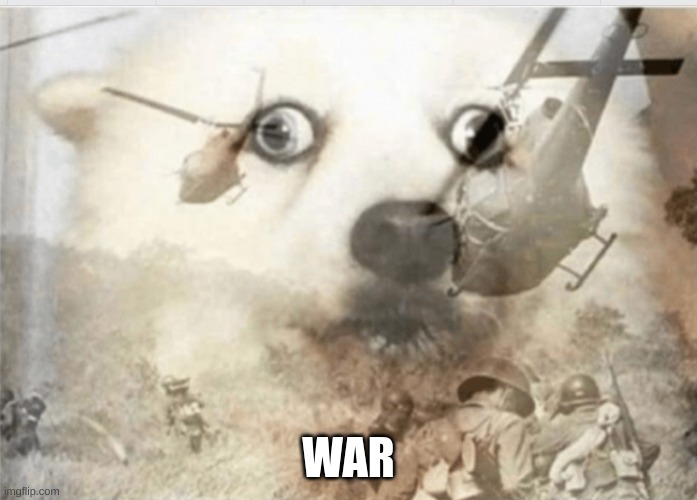 war | WAR | image tagged in ptsd dog | made w/ Imgflip meme maker