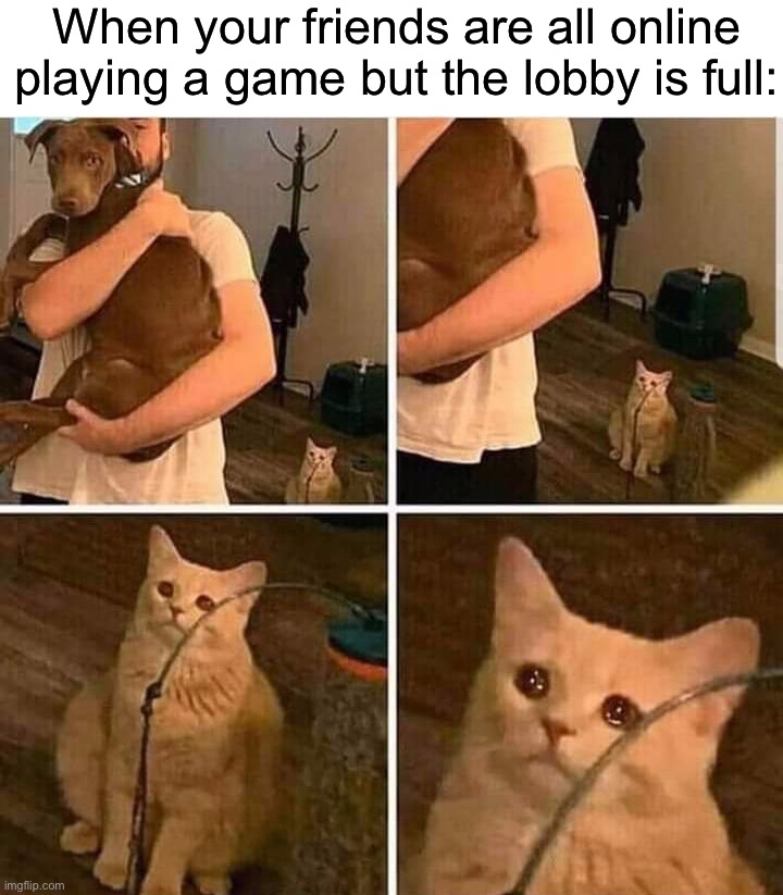I want to join the lobby! | When your friends are all online playing a game but the lobby is full: | image tagged in cat left out crying,memes,funny,gaming,sad | made w/ Imgflip meme maker