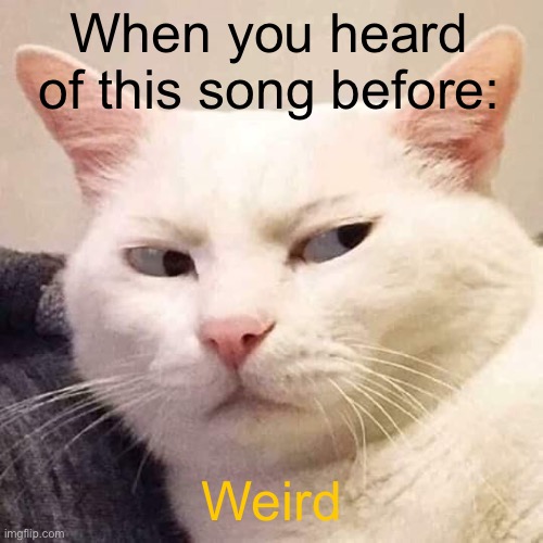 I can’t remember what the song is | When you heard of this song before:; Weird | image tagged in i'm watching you,this sign won't stop me because i cant read,oh wow are you actually reading these tags,idk | made w/ Imgflip meme maker