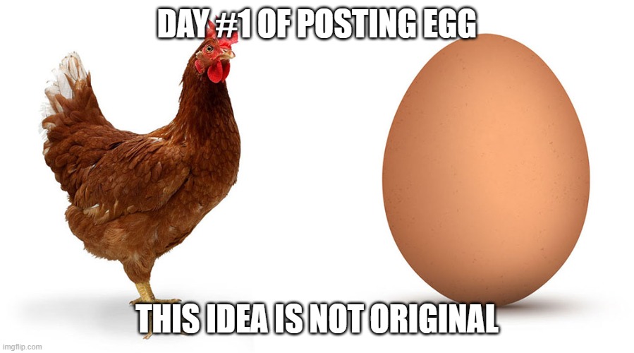 Chicken and egg | DAY #1 OF POSTING EGG; THIS IDEA IS NOT ORIGINAL | image tagged in chicken and egg | made w/ Imgflip meme maker