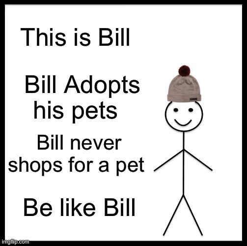 Adopt | This is Bill; Bill Adopts his pets; Bill never shops for a pet; Be like Bill | image tagged in memes,be like bill | made w/ Imgflip meme maker