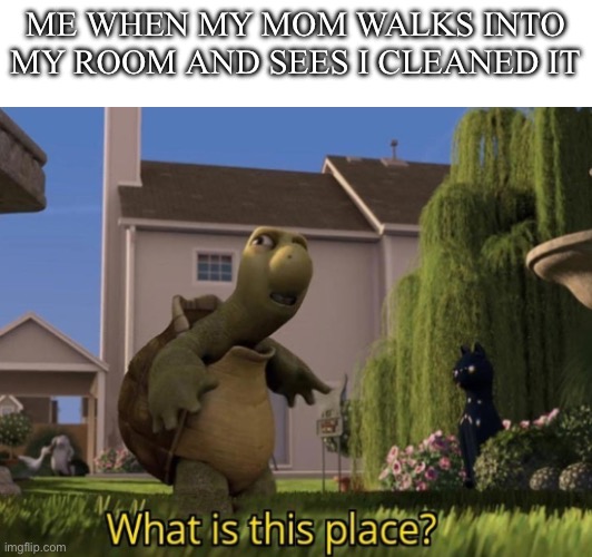 I didn’t get asked that’s why. | ME WHEN MY MOM WALKS INTO MY ROOM AND SEES I CLEANED IT | image tagged in memes,turtle | made w/ Imgflip meme maker