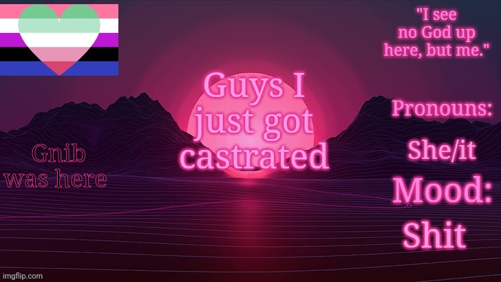 polystyrenes other announcement template who she aready hates | Guys I just got castrated; Gnib was here; She/it; Shit | image tagged in polystyrenes other announcement template who she aready hates | made w/ Imgflip meme maker