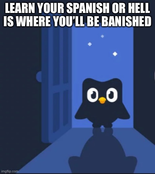Ok ok I will do it. | LEARN YOUR SPANISH OR HELL IS WHERE YOU’LL BE BANISHED | image tagged in duolingo bird | made w/ Imgflip meme maker