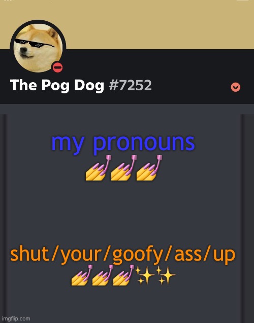 epic doggos epic discord temp | my pronouns 💅💅💅; shut/your/goofy/ass/up 💅💅💅✨✨ | image tagged in epic doggos epic discord temp | made w/ Imgflip meme maker