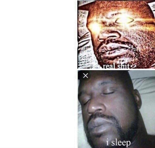 real shit i sleep Blank Meme Template