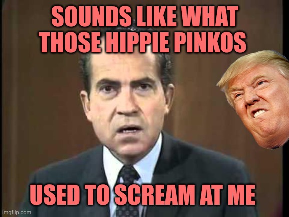 Richard Nixon - Laugh In | SOUNDS LIKE WHAT THOSE HIPPIE PINKOS USED TO SCREAM AT ME | image tagged in richard nixon - laugh in | made w/ Imgflip meme maker