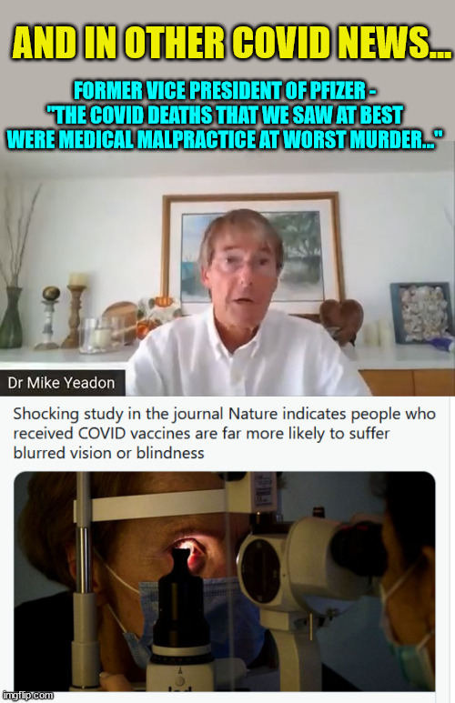 And in other Covid news... | AND IN OTHER COVID NEWS... FORMER VICE PRESIDENT OF PFIZER - "THE COVID DEATHS THAT WE SAW AT BEST WERE MEDICAL MALPRACTICE AT WORST MURDER..." | image tagged in other,covid,news | made w/ Imgflip meme maker