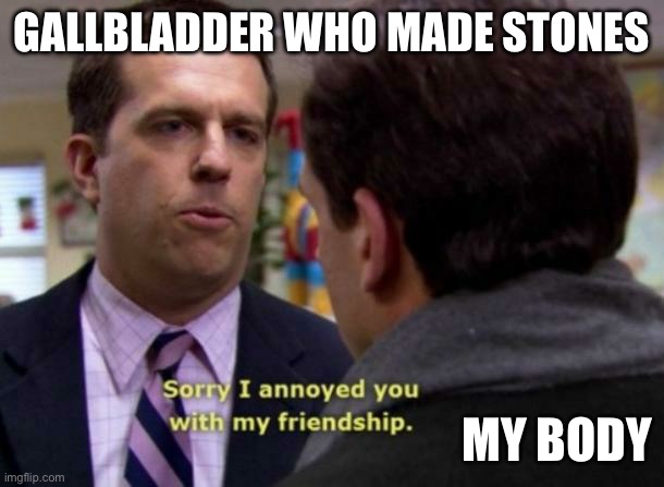 Gallstones ca | GALLBLADDER WHO MADE STONES; MY BODY | image tagged in andy bernard sorry i annoyed you with my friendship | made w/ Imgflip meme maker